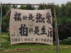 -金谷域澳洲庄园