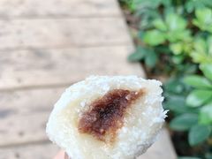 -嘉乐蛋挞王(文明分店)