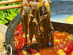 -阳阳老火锅(小南门店)