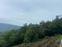 -东山风景区(洞庭东山)