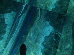 -暹罗海洋世界