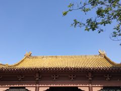 -明故宫遗址公园