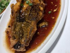 老济南糖醋鲤鱼-金春禧(世茂国际广场店)