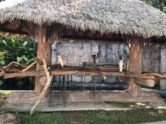 -清迈夜间动物园