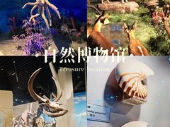 -国家自然博物馆