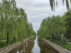 -元大都城垣遗址公园