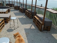 -Brew Farm·精酿农场海滨悬崖餐厅
