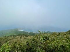 -海南铜鼓岭景区