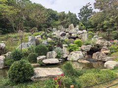 -东莞植物园