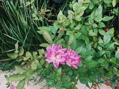 -无锡市市民中心