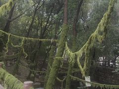 -腊山国家森林公园