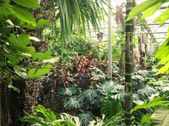 -呀路古热带植物园