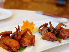 生烧乳鸽皇-广州酒家(文昌总店)