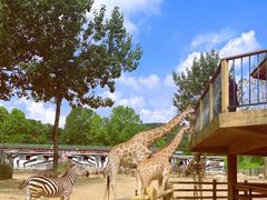 -大连森林动物园