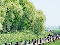 -苏州太湖国家湿地公园