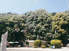 -南诏风情岛