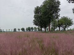 -汉长安城未央宫国家考古遗址公园