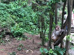 -黔灵山公园