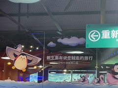 -哈尔滨极地公园