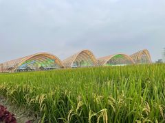 -中国天府农业博览园