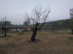 -北京瑞麟湾温泉度假酒店