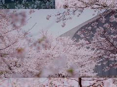 -龙美术馆(西岸馆)