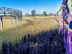 -稻梦空间冰雪小镇