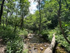 -玉渡山自然风景区