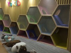 -YoKID托育园(酒仙桥园)