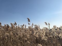 -哈尔滨大剧院