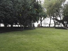 -西湖外事游船(花港观鱼码头)