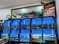 -金龙·打边炉(武进路店)