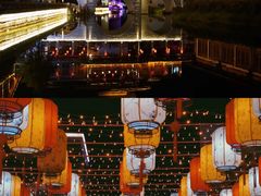 -洋湖国家湿地公园