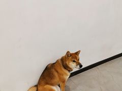 -NOTBAD 须时·咖啡馆