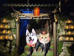 -夜幕浸入式超级密室(望京店)