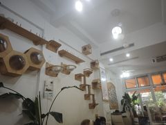 -李小姐の猫咖啡馆(五角场店)