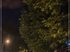 -等待戈多Waiting For Godot(交道口店)