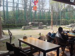 -上海野生动物园老虎餐厅