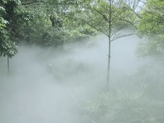 -厦门园林博览苑