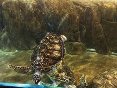 -福州罗源湾海洋世界旅游区