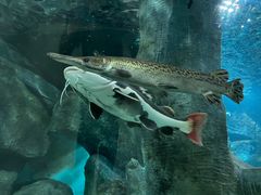 -福州罗源湾海洋世界旅游区