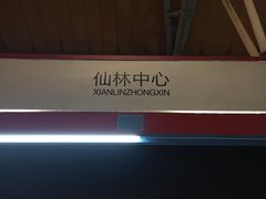 -仙林中心(地铁站)