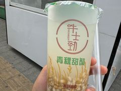 -德禄酸奶(莫家街店)