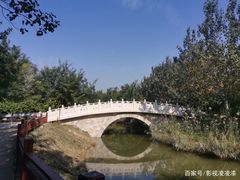 -塘沽森林公园