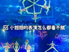 -正佳极地海洋世界