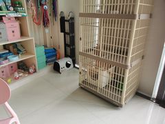-乐琪宠物医院·犬猫专科·骨外科·急重症