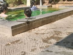 -崇阳三特浪口温泉