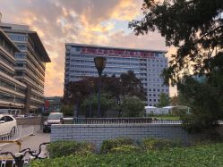 -首都医科大学附属北京儿童医院