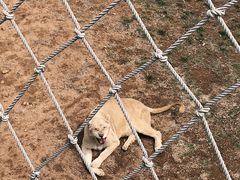 -西霞口神雕山野生动物世界