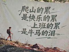 -广州白江湖森林公园